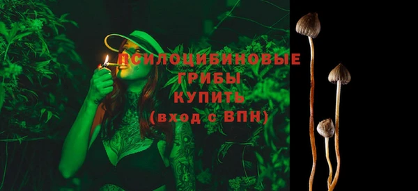 мдпв Горнозаводск