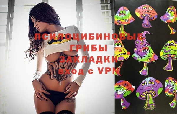 мдпв Горнозаводск