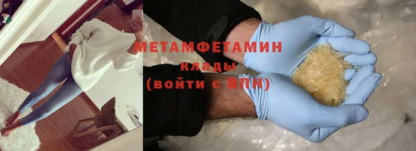 прущие грибы Вяземский