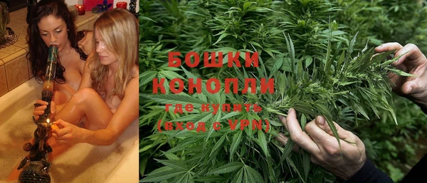 гашик Вязьма