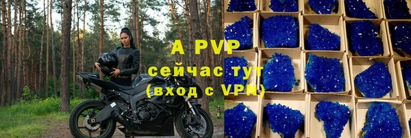 прущие грибы Вяземский