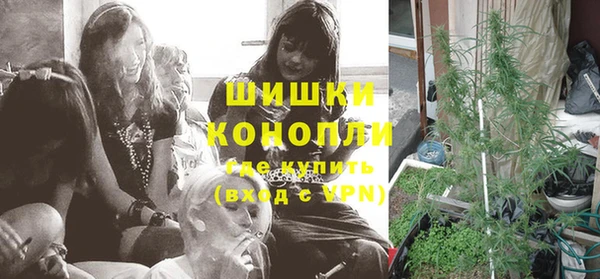мдпв Горнозаводск