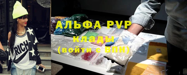 прущие грибы Вяземский
