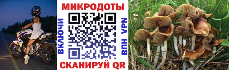 Псилоцибиновые грибы Psilocybe  дарнет шоп  Дегтярск 